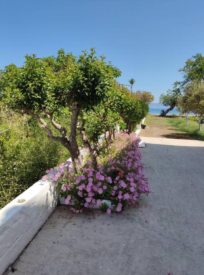 Cavos Sunrise Beach Apartments Kávos Zewnętrze zdjęcie